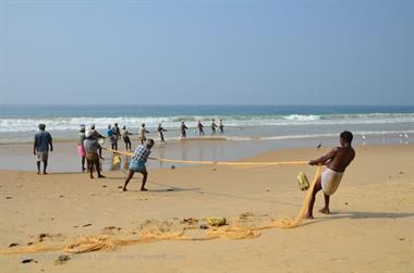 Fishing with net, Chowara Beach,_DSC_9555_H600